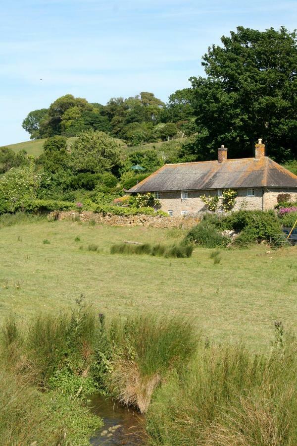 The Cottage Abbotsbury Exterior photo